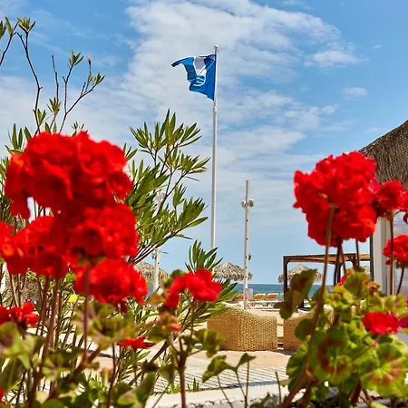 Madagascar Boutik Cytadell אפורי נורד