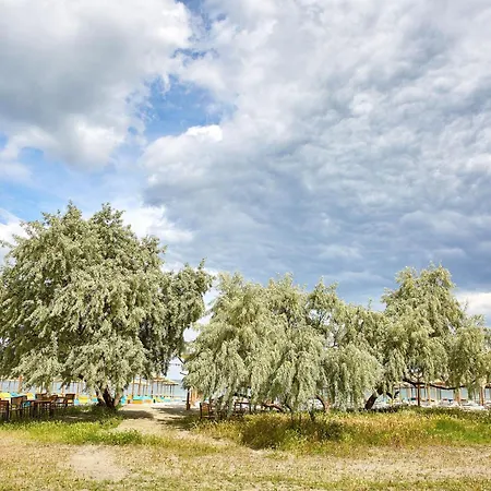 מלון דירות Madagascar Boutik Cytadell אפורי נורד