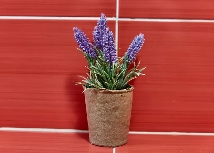 Madagascar Boutik Cytadell 4* Eforie Nord