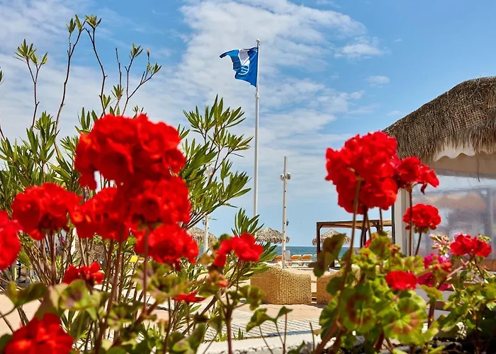 Madagascar Boutik Cytadell Eforie Nord